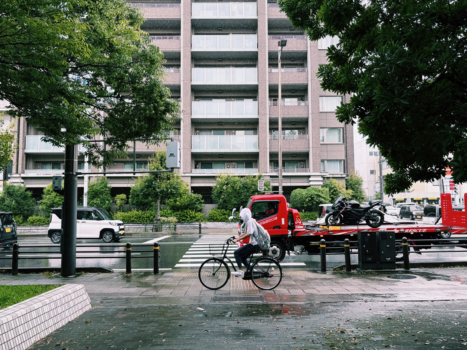 sample photo