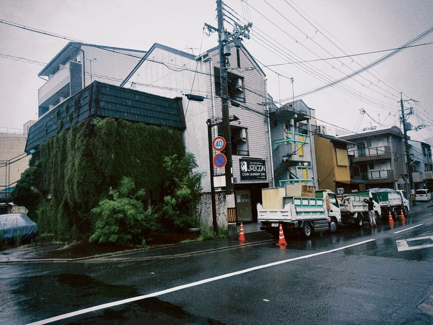 sample photo