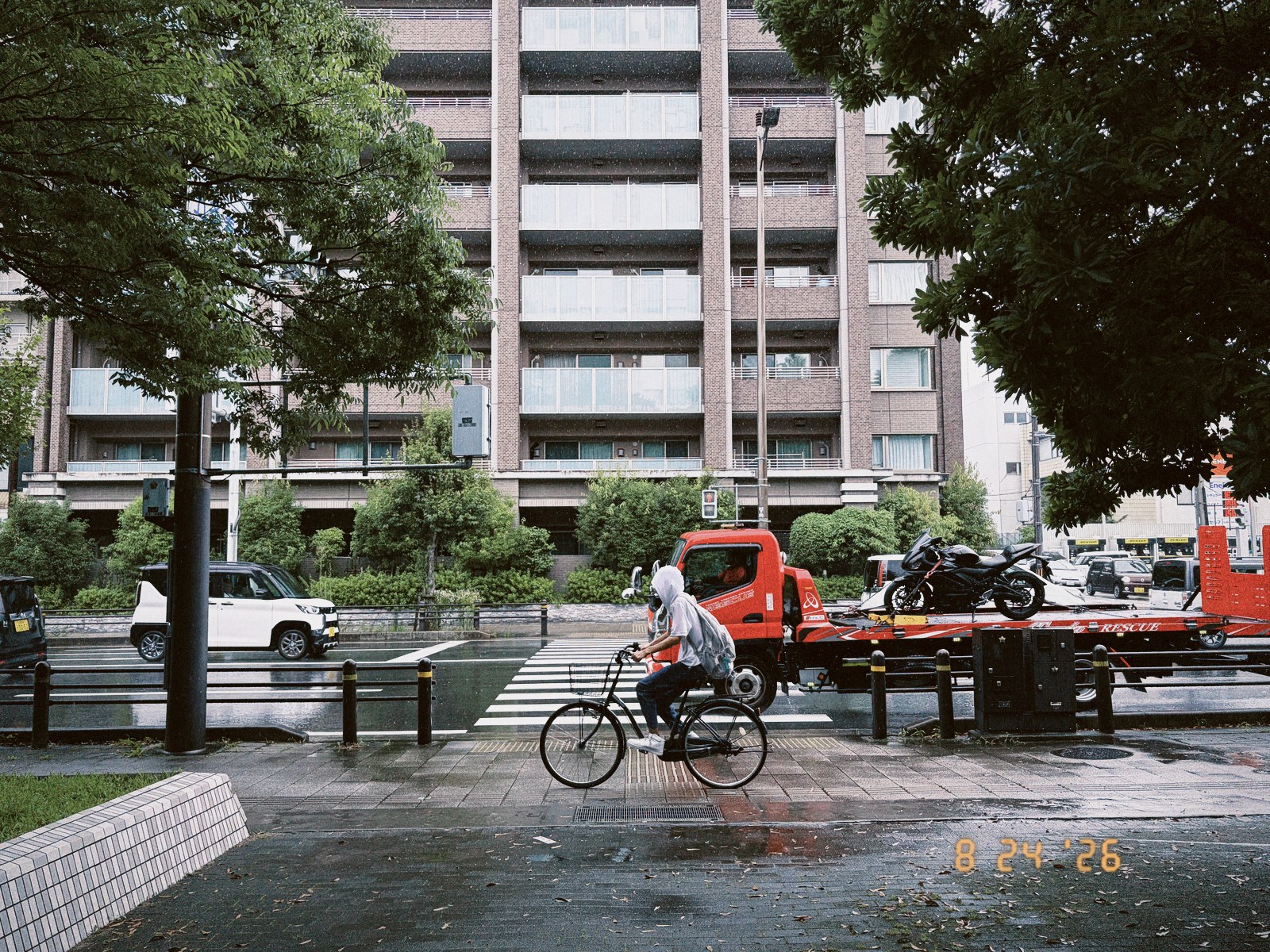 Moss Veil film sample